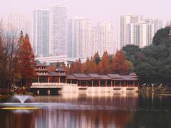 -重庆彩云湖湿地公园
