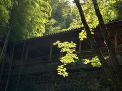 -藏龙百瀑风景区