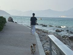 -杨梅坑