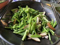 -阿巧茶庄