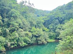 -鼎湖山风景区