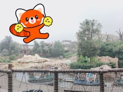 -翱翔飞越地平线