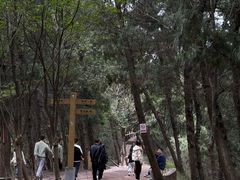 -金堂县云顶石城风景区