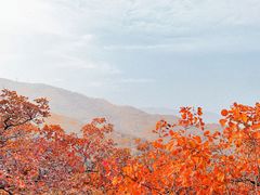 -北京西山国家森林公园