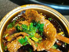 -胖碗火锅(观音桥店)