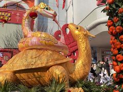 -越秀西湖花市(广州城市广场花卉店)