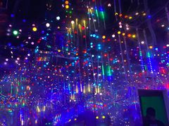 -巨鹏飞梦幻海岸