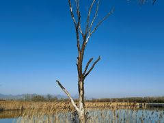 -野鸭湖国家湿地公园