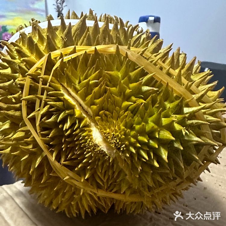 520开出报恩榴莲……