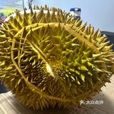 520开出报恩榴莲……