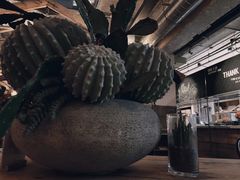 -三秋舍·梦幻岛(小西路店)