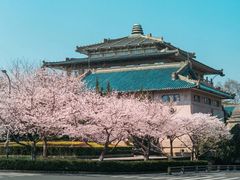 -武汉大学-樱园