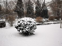 -北京莲花山滑雪场