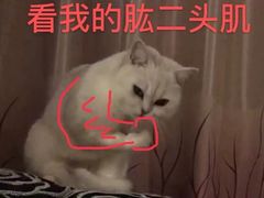 -荔康动物医院(康王北路店)