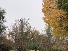-丰台花园