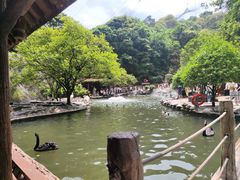-碧峰峡风景区