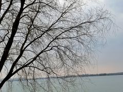 -丁香湖公园