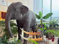 -国家自然博物馆