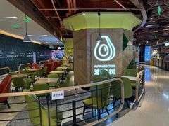 -油梨树AVOCADO TREE(嘉里中心店)