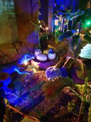 -恐龙探索乐园(磁器口店)