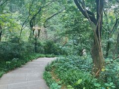 -句容茅山景区