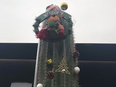 -TOP健身私教工作室(侨香店)