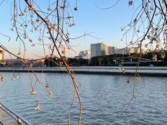 -智慧湾科创园