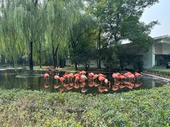 -石家庄市动物园