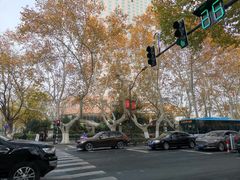 -南京维景国际大酒店(南京博物院店)