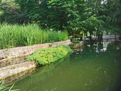 -成都市活水公园