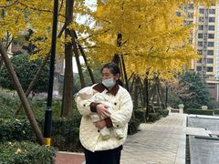 -田螺阿姨自营月嫂·育儿嫂(高新店)