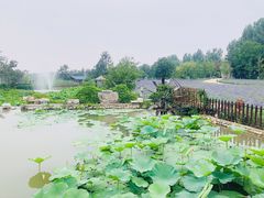 -静之湖度假区