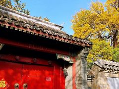 -中央广播电视总台(光华路办公区)