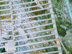 -藏龙百瀑风景区