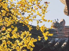 -钱王祠