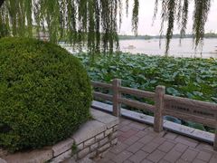 -济南大明湖景区