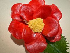 -Tomacado花厨(南京IFC国金中心店)