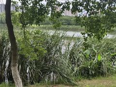 -九里河湿地公园