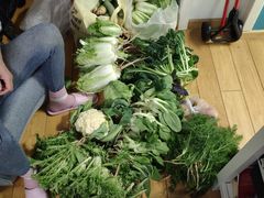 -万源龙顺度假庄园生态观光园