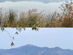 -野鸭湖国家湿地公园