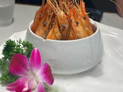 -7017浙菜•建德味(市心北路店)