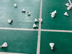 -东丽温泉羽毛球