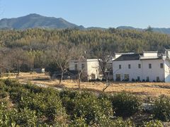 -塔川景区