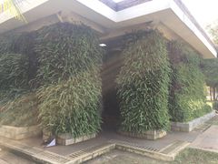 -万绿园