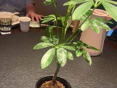 -桐湾大院·桐庐菜(滨江店)