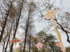 -人民公园(罗湖区)