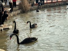 -祥源·阜阳生态乐园