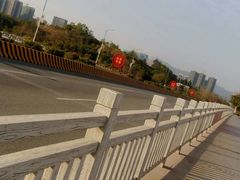 -大亚湾红树林城市湿地公园