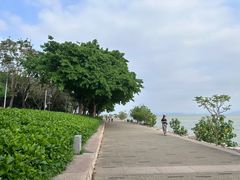 -深圳湾公园(南山区)