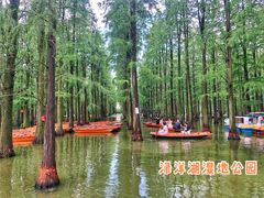 -渌洋湖湿地公园